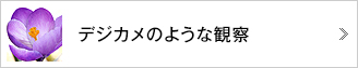 デジカメのような観察